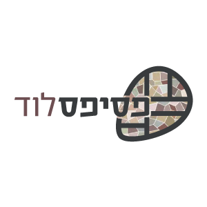 נגישות